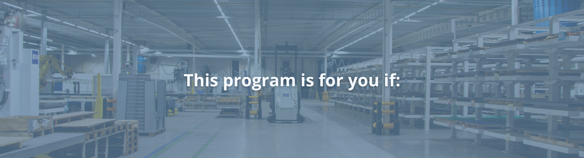 Consteel PRO – banner 1